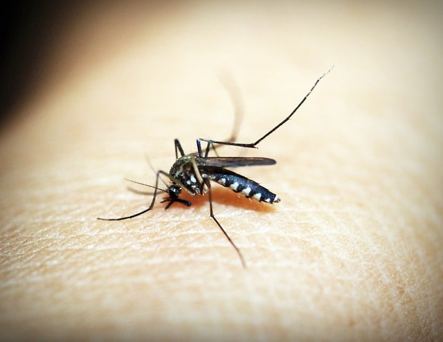 assicurazione sanitaria per la dengue in Brasile