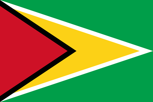 Seguros Guyana